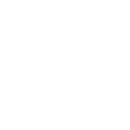 Cognitivess Logo