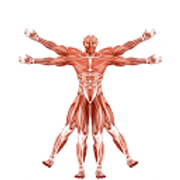 Dr. Muscle Logo