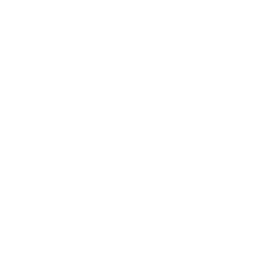 Zyler AI Logo
